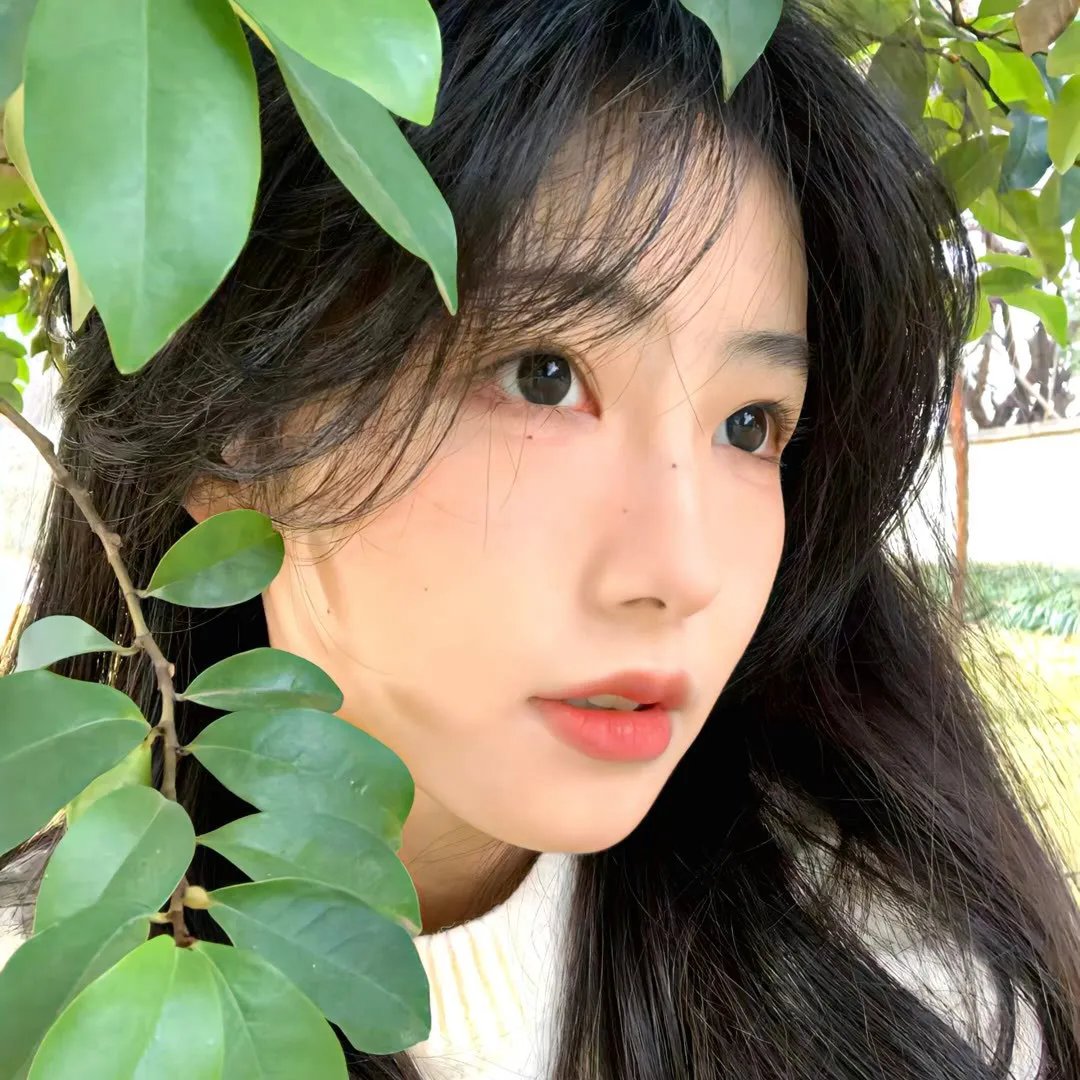 心蚀